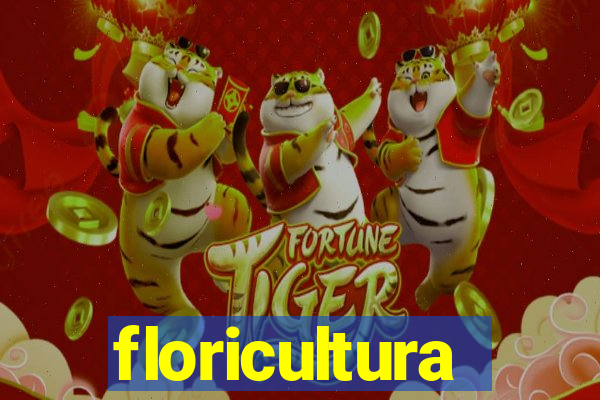 floricultura juazeiro bahia